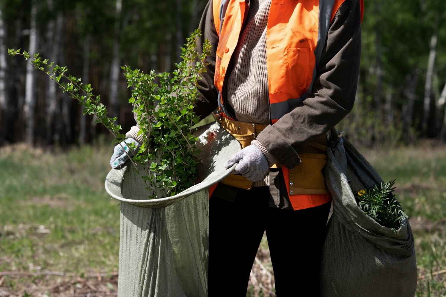  Oceanport, NJ TreeGuard Tree Service Pros